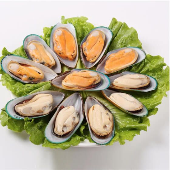 GREEN LIPPED HALF SHELL MUSSEL 蚝壳 1KG/PKT