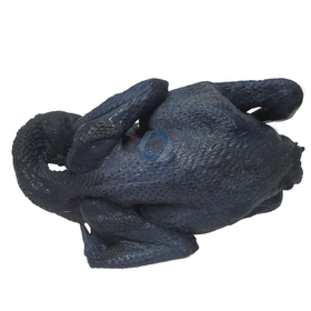 FRESH BLACK CHICKEN (DEGUTTED)  新鲜去内脏黑鸡 - [500GM - 700GM/PC]
