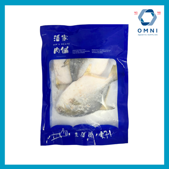 GOLDEN POMFRET 金昌鱼 - APPROX 680GM-780GM/PKT