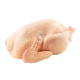 CHICKEN GRILLER 冷冻鸡 - 1.3KG/PCS