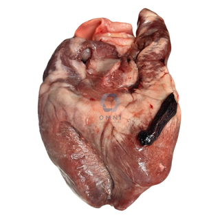 PORK HEART 猪心 (2 - 3PCS/PKT) - APPROX 1.2KG/PKT
