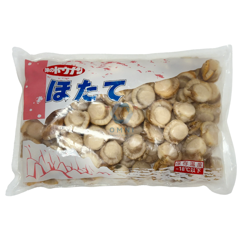 BOILED SCALLOP 熟带子 - 1 KG/PKT