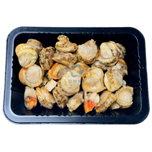 BOILED SCALLOP 熟带子 - 1 KG/PKT