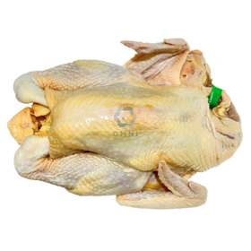 FRESH KAMPONG CHICKEN (DEGUTTED) 新鲜去内脏甘榜鸡 - APPROX 1.4KG - 1.7KG/PC