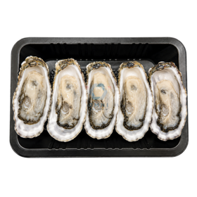 PREMIUM SASHIMI GRADE OYSTER (L) 日本顶级带壳蚝 - 5PCS/PKT
