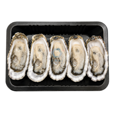 PREMIUM SASHIMI GRADE OYSTER (L) 日本顶级带壳蚝 - 5PCS/PKT