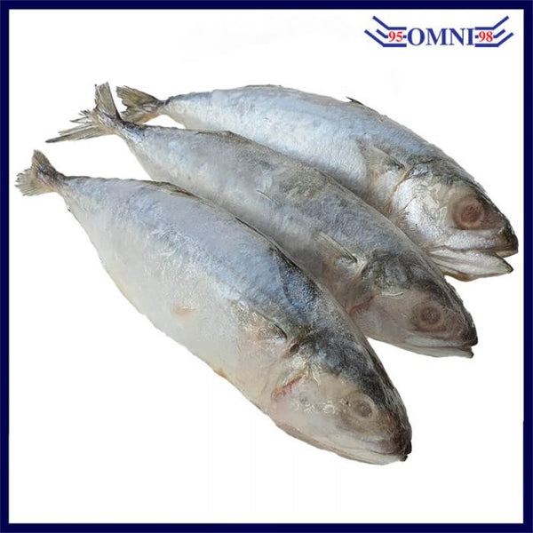 KEMBONG FISH (CLEANED AND GUTTED) 甘旺鱼 (APPROX 1KG/PKT, 8 - 10PCS/KG)