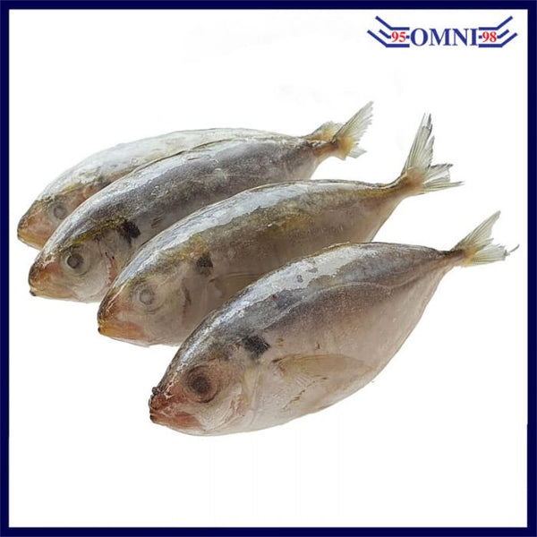 KUNNING FISH (CLEANED AND GUTTED) 君冷鱼 (APPROX 1KG/PKT, 18 - 20PCS/KG)