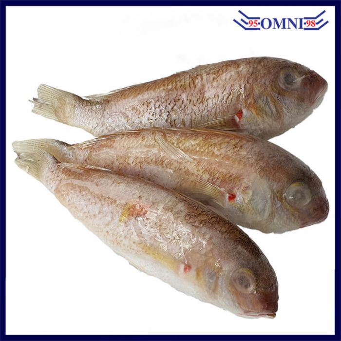 SEABREAM FISH (CLEAN AND GUTTED) 红哥鲤鱼 (APPROX 1KG/PKT, 8 - 10PCS/KG)