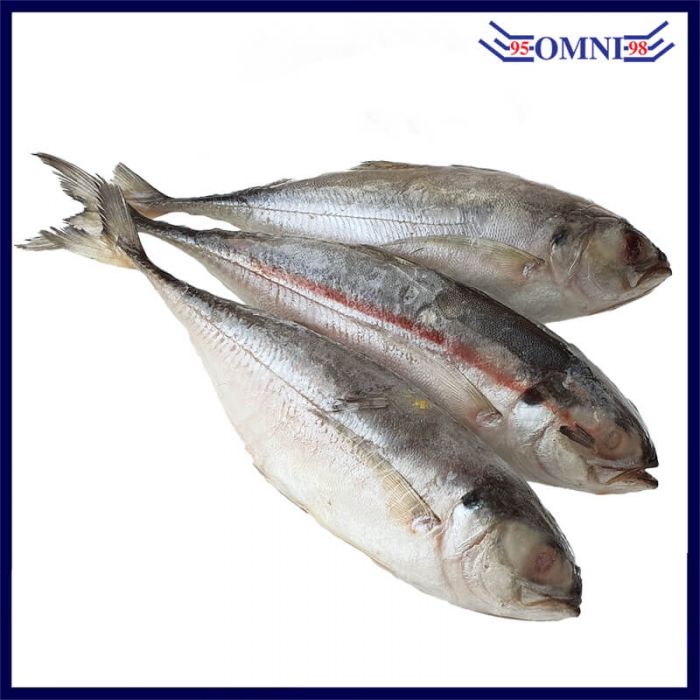 SELAR FISH (CLEANED AND GUTTED) 色拉鱼 (APPROX 1KG/PKT, 8 - 10PCS/KG)