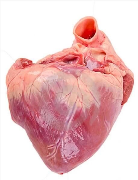 PIG HEART WHOLE UNCUT 猪心不切 (2 - 3PCS/PKT) - APPROX 1KG/PKT