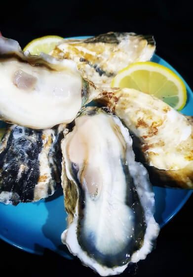 PREMIUM SASHIMI GRADE OYSTER (L) 日本顶级带壳蚝 - 5PCS/PKT