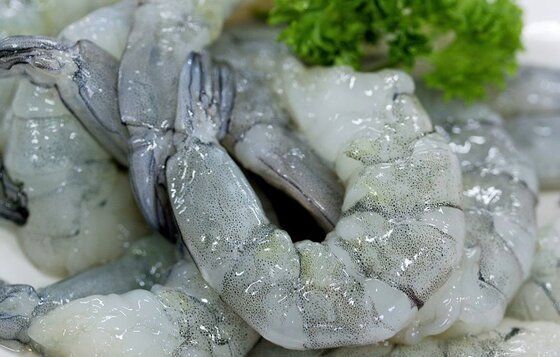 51/60 PRAWN MEAT (TAIL ON, DESHELLED) 51/60虾仁